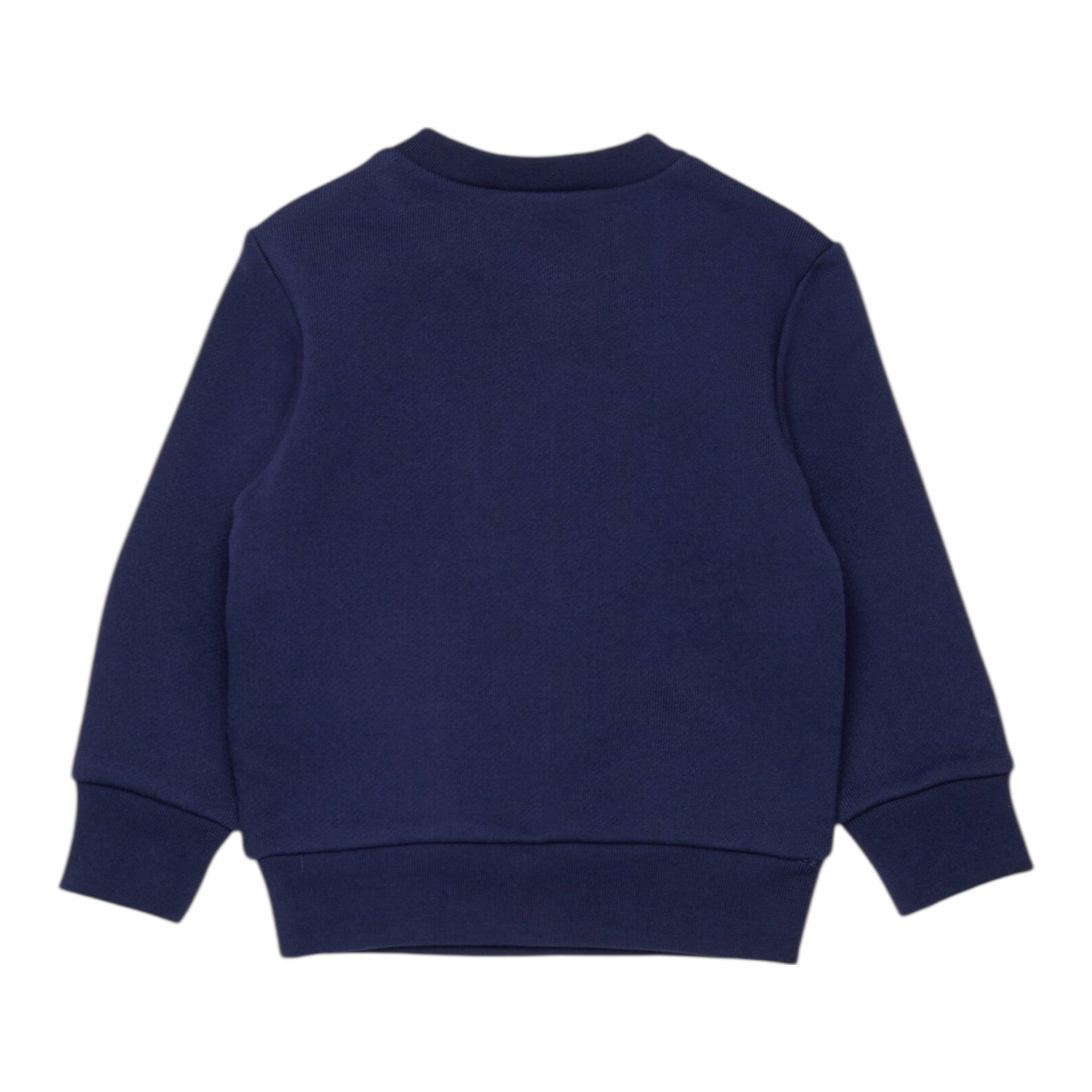 Dsquared2 Felpa Chiusa Girocollo tinta unita con Logo Blu per Bambino DQ3099J BLU DSQUARED2 