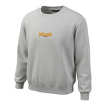 Just Cavalli Felpa tinta unita Girocollo con Stampa Grigio per Bambino JBA26007FE GRIGIO JUST CAVALLI 