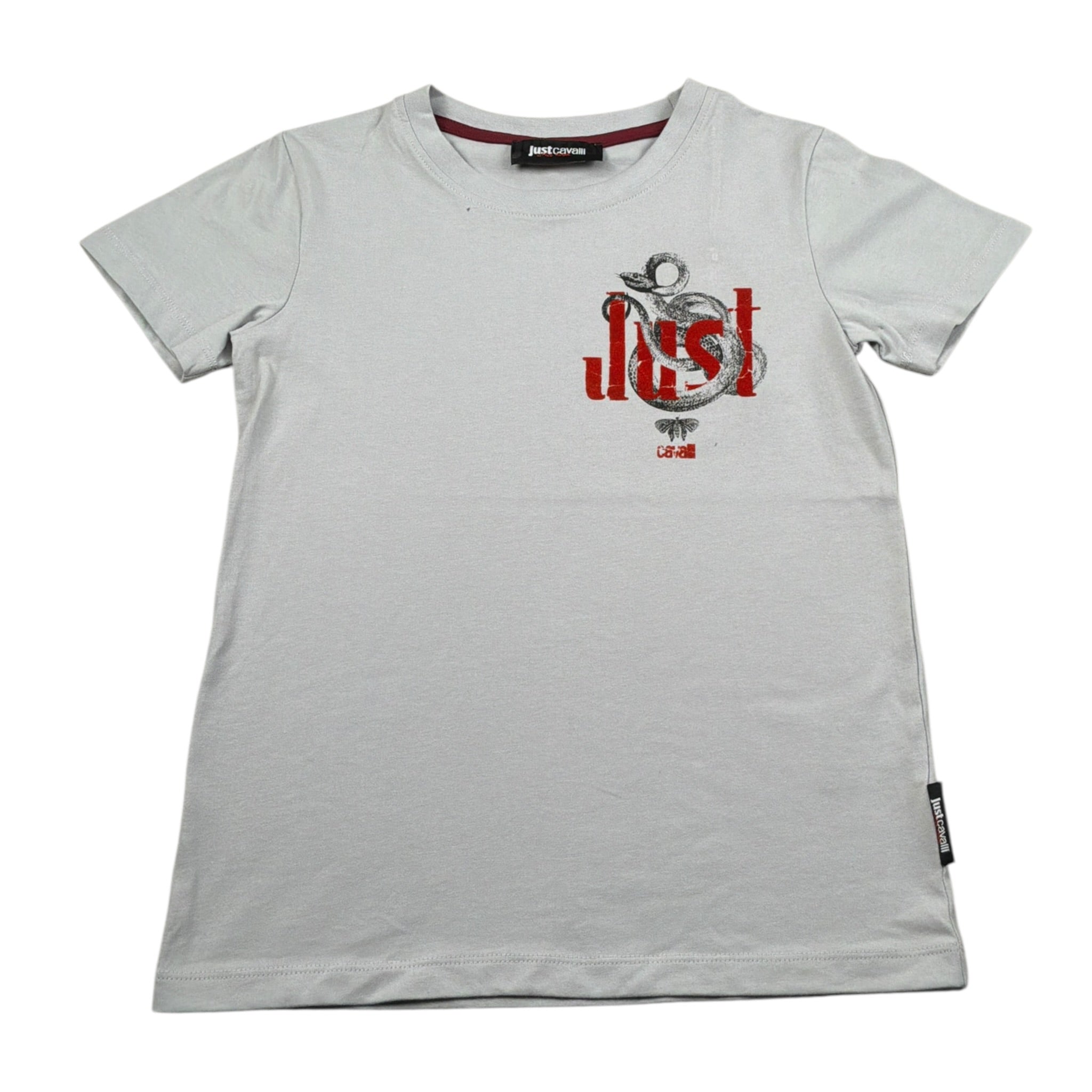 Just Cavalli T-Shirt Girocollo tinta unita con Logo Grigio per Bambino JBA26075TS GRIGIO JUST CAVALLI 