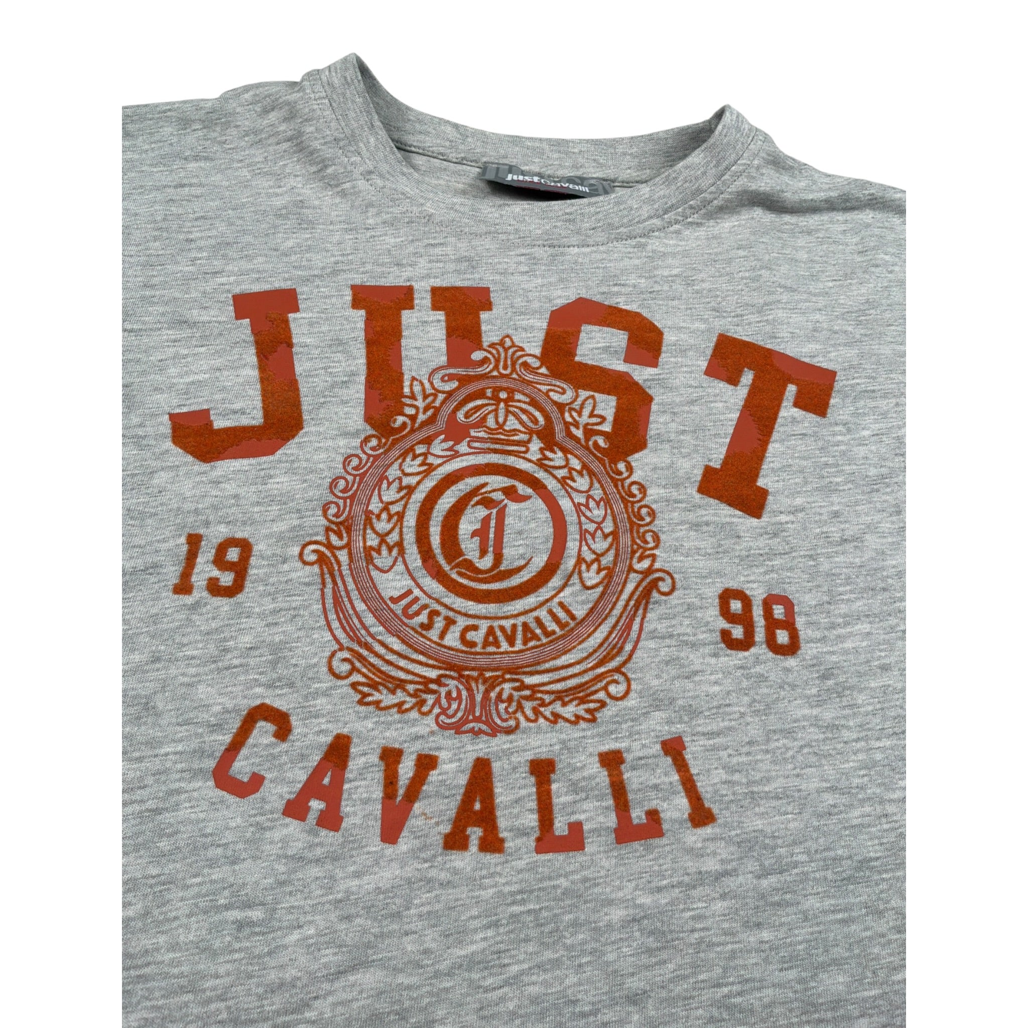 Just Cavalli T-Shirt Girocollo tinta unita con Stampa Grigio per Bambina JGA26105TS GRIGIO JUST CAVALLI 