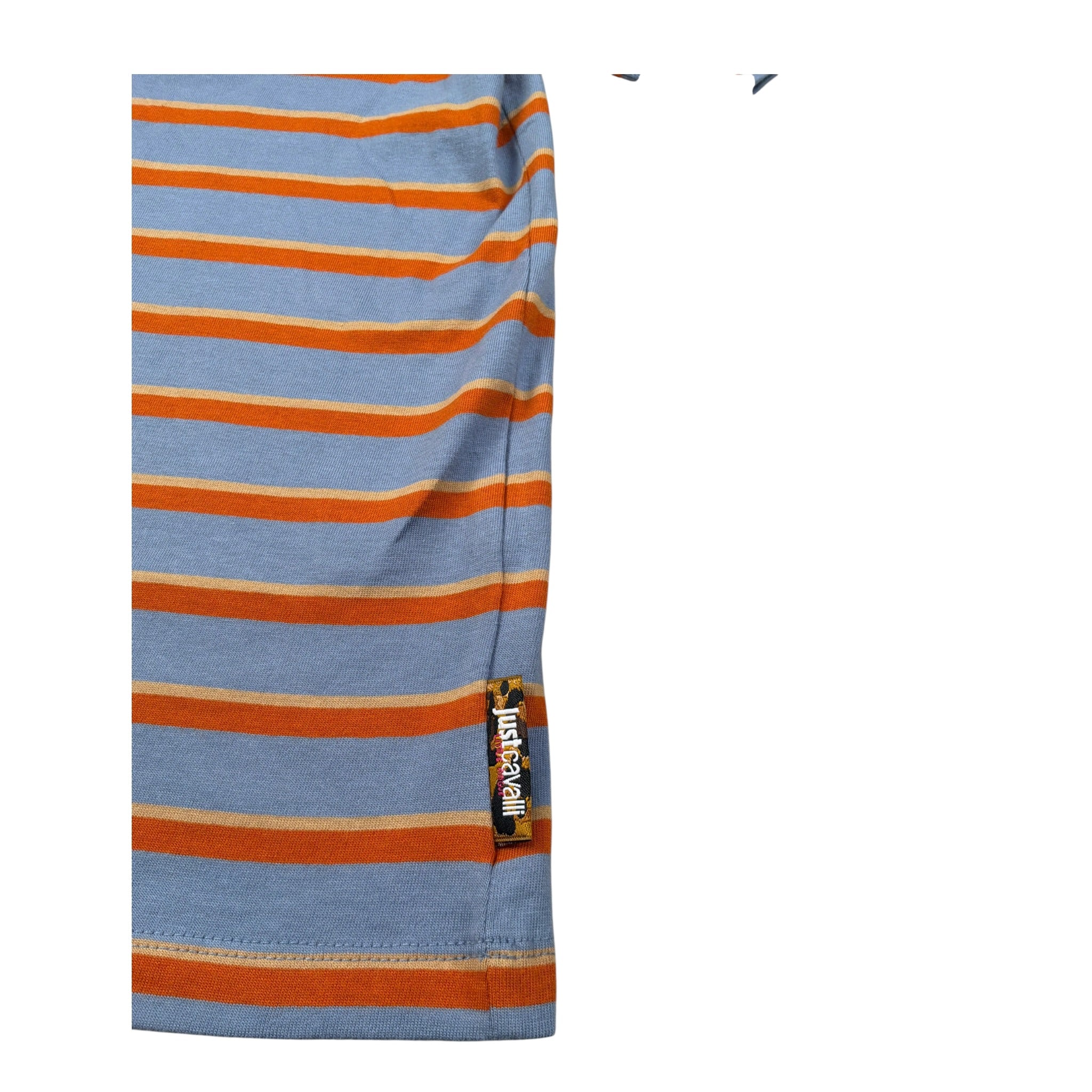 Just Cavalli T-Shirt Fantasia A Righe con Logo Azzurro per Bambina JGA26111TS AZZURRO JUST CAVALLI 