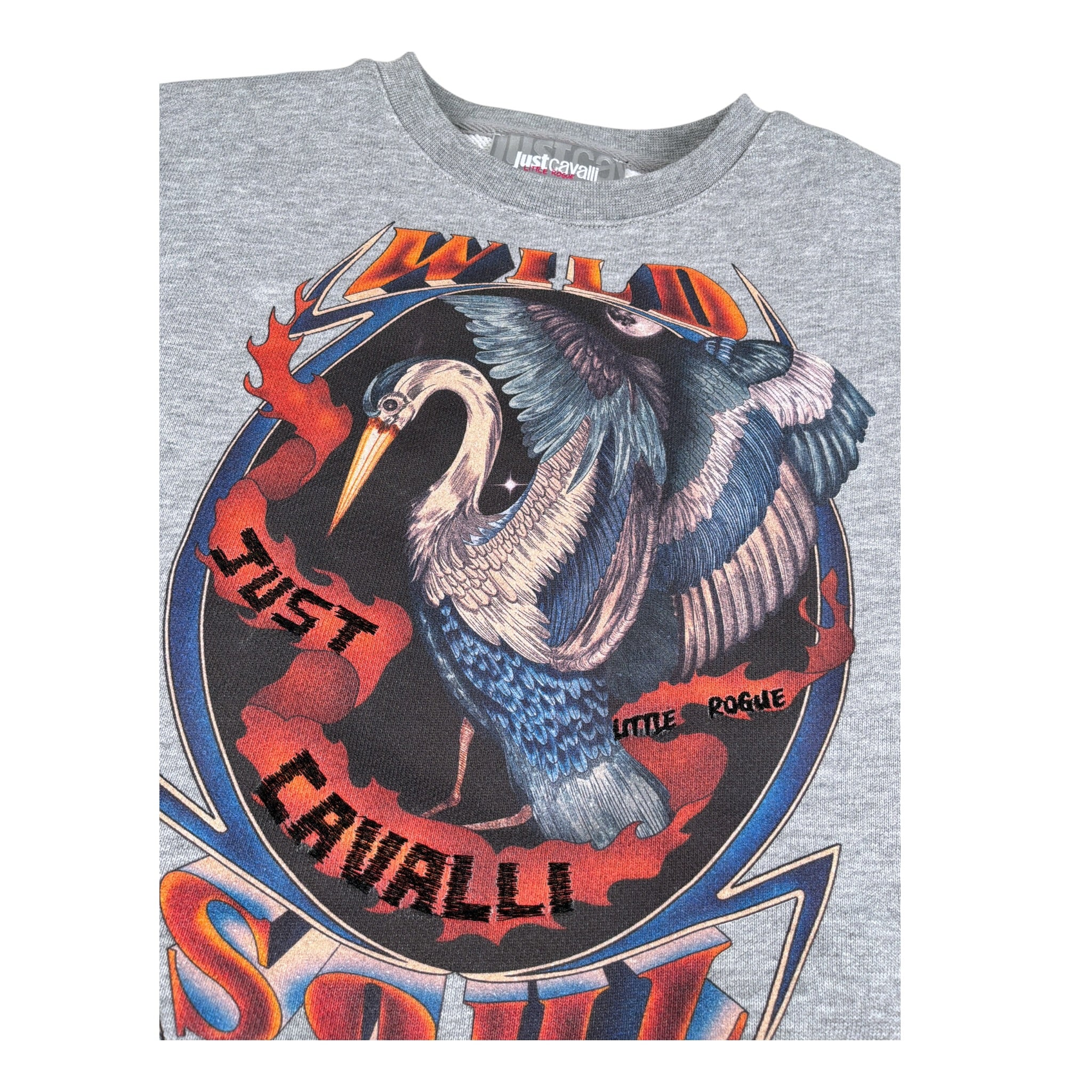 Just Cavalli Abito Giromanica Bicolore con Felpa Grigio per Bambina JGA2612VE GRIGIO JUST CAVALLI 