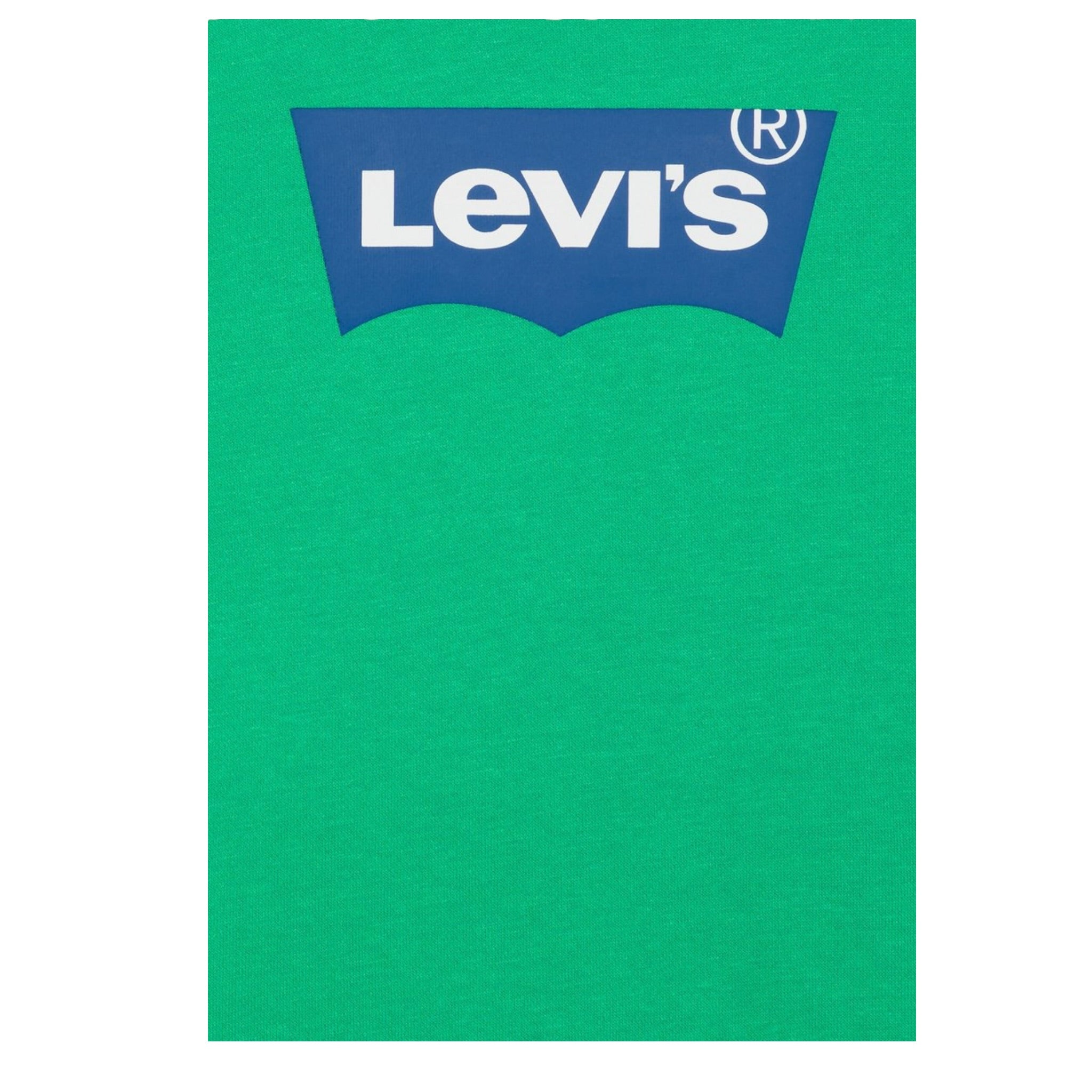 Levi'S Felpa Chiusa Girocollo tinta unita con Logo Verde per Bambino 8E9079X VERDE LEVI'S 