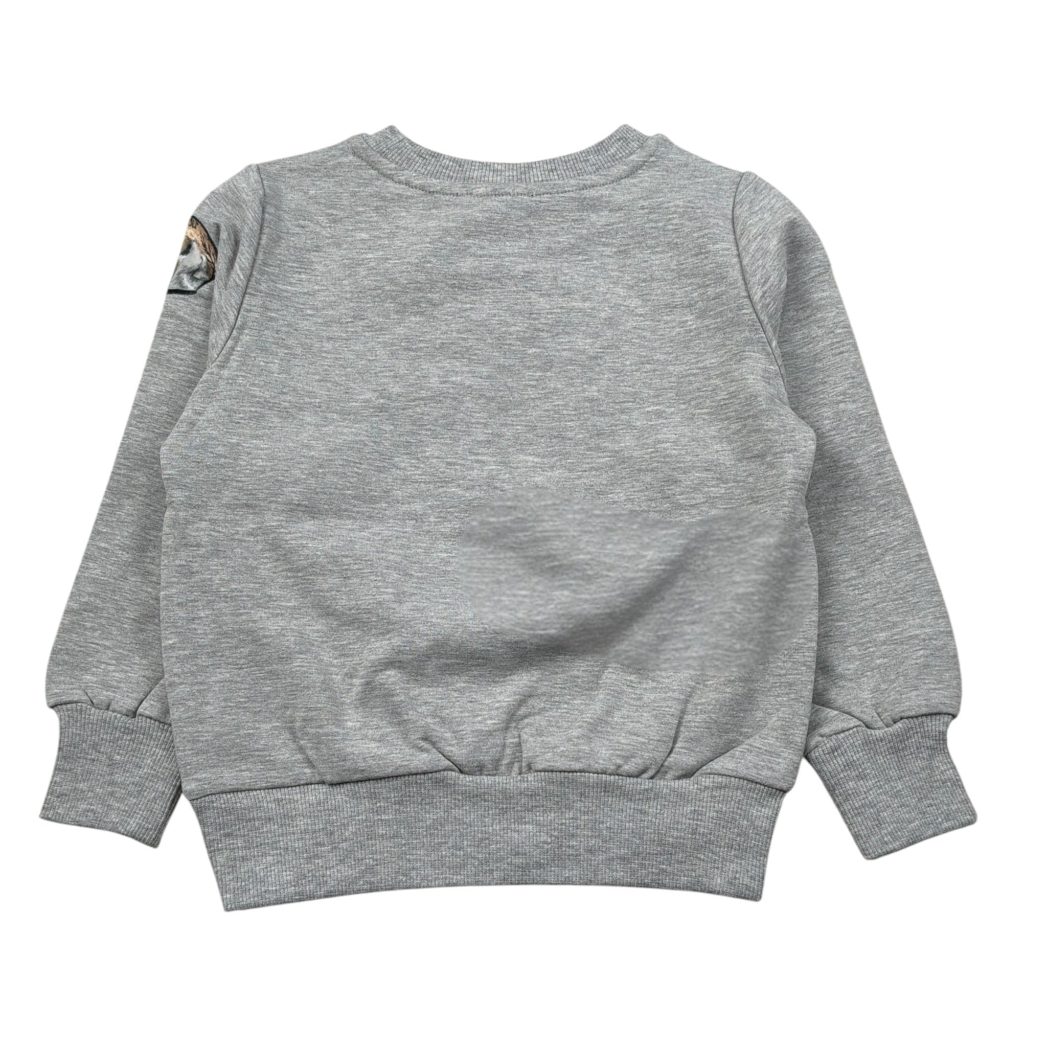 Monnalisa Felpa Chiusa Girocollo tinta unita con Stampe Grigio per Bambino 252611 GRIGIO MONNALISA 