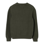 Ralph Lauren Maglia tinta unita con Logo Verde per Bambino 323970429006 VERDE RALPH LAUREN 