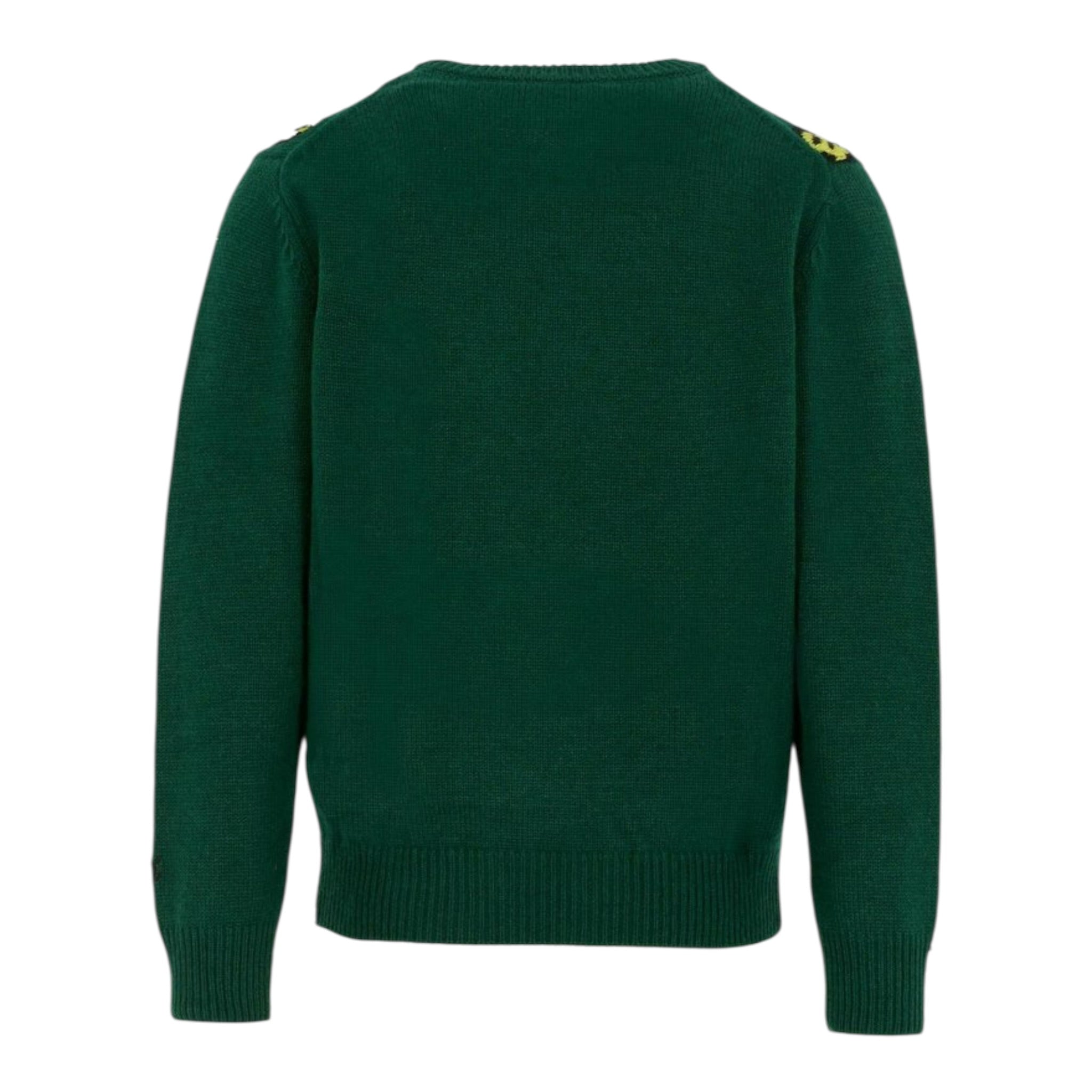 Saint Barth Maglia tinta unita con Stampa Verde per Neonato DOU000301729I VERDE SAINT BARTH 