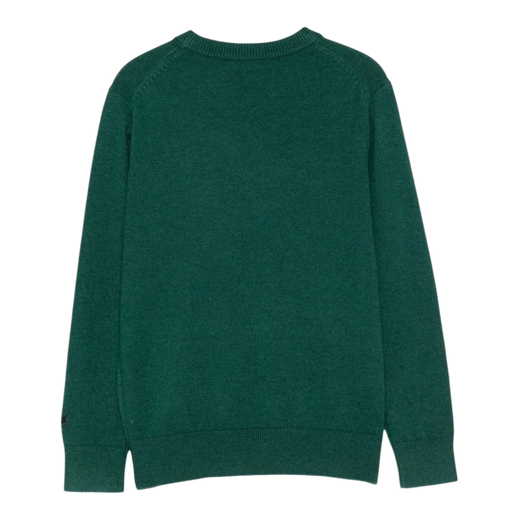 Saint Barth Maglia tinta unita con Ricamo Verde per Neonato DOU0021N VERDE SAINT BARTH 