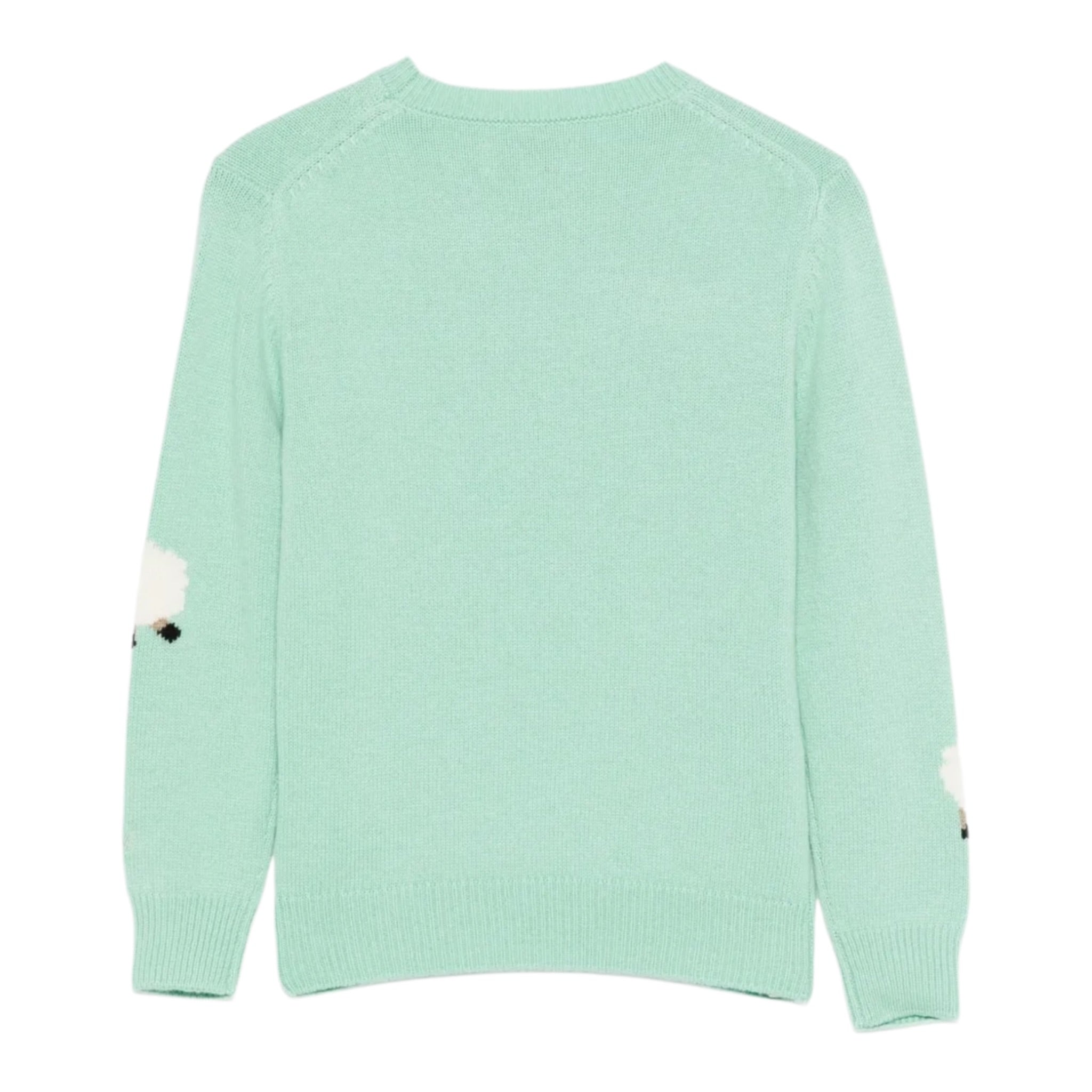 Saint Barth Maglia tinta unita con Stampa Verde Acqua per Neonato PRC000500454I VERDE ACQUA SAINT BARTH 