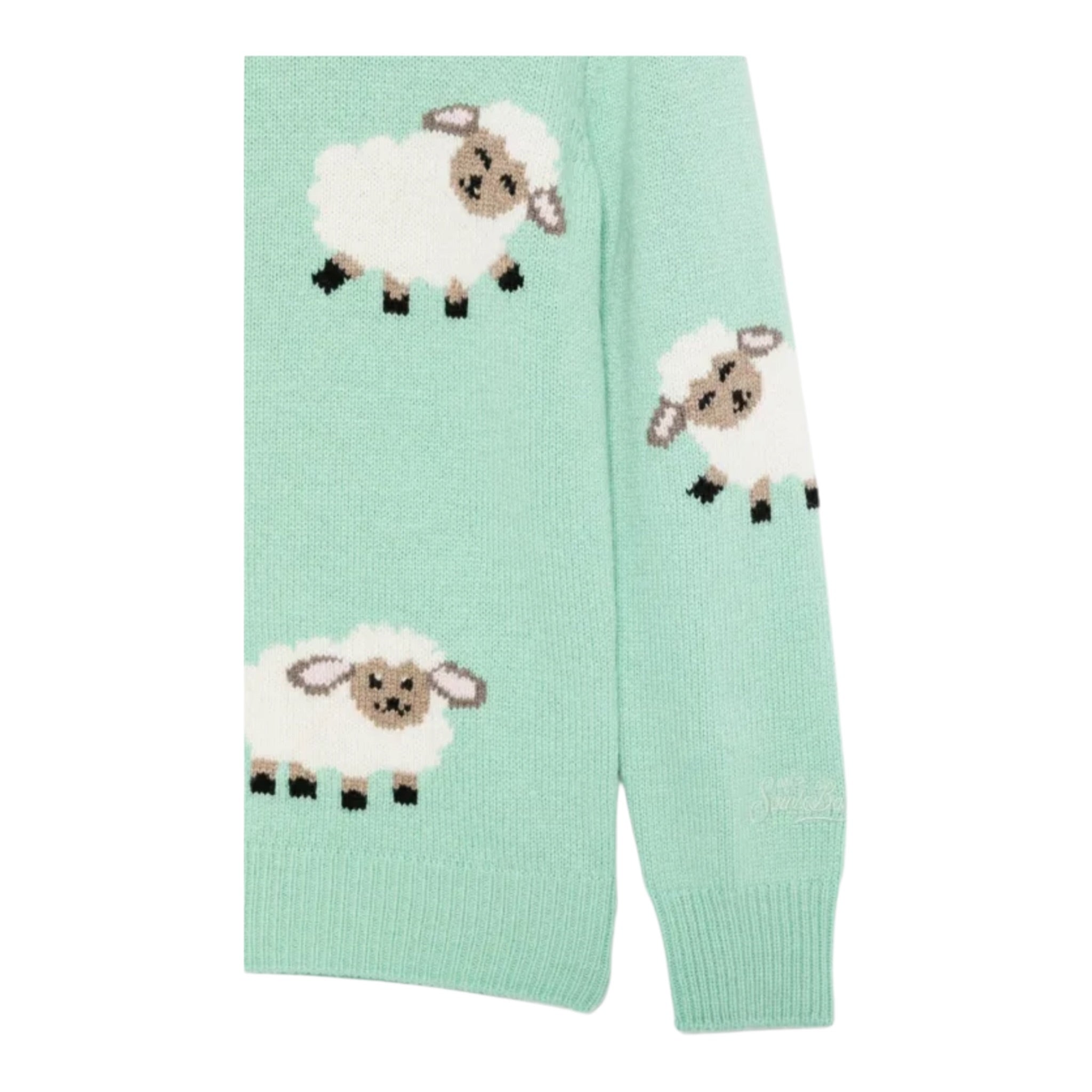 Saint Barth Maglia tinta unita con Stampa Verde Acqua per Neonato PRC000500454I VERDE ACQUA SAINT BARTH 