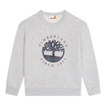 Timberland Felpa tinta unita con Stampa Grigio per Bambino T60319 GRIGIO TIMBERLAND 