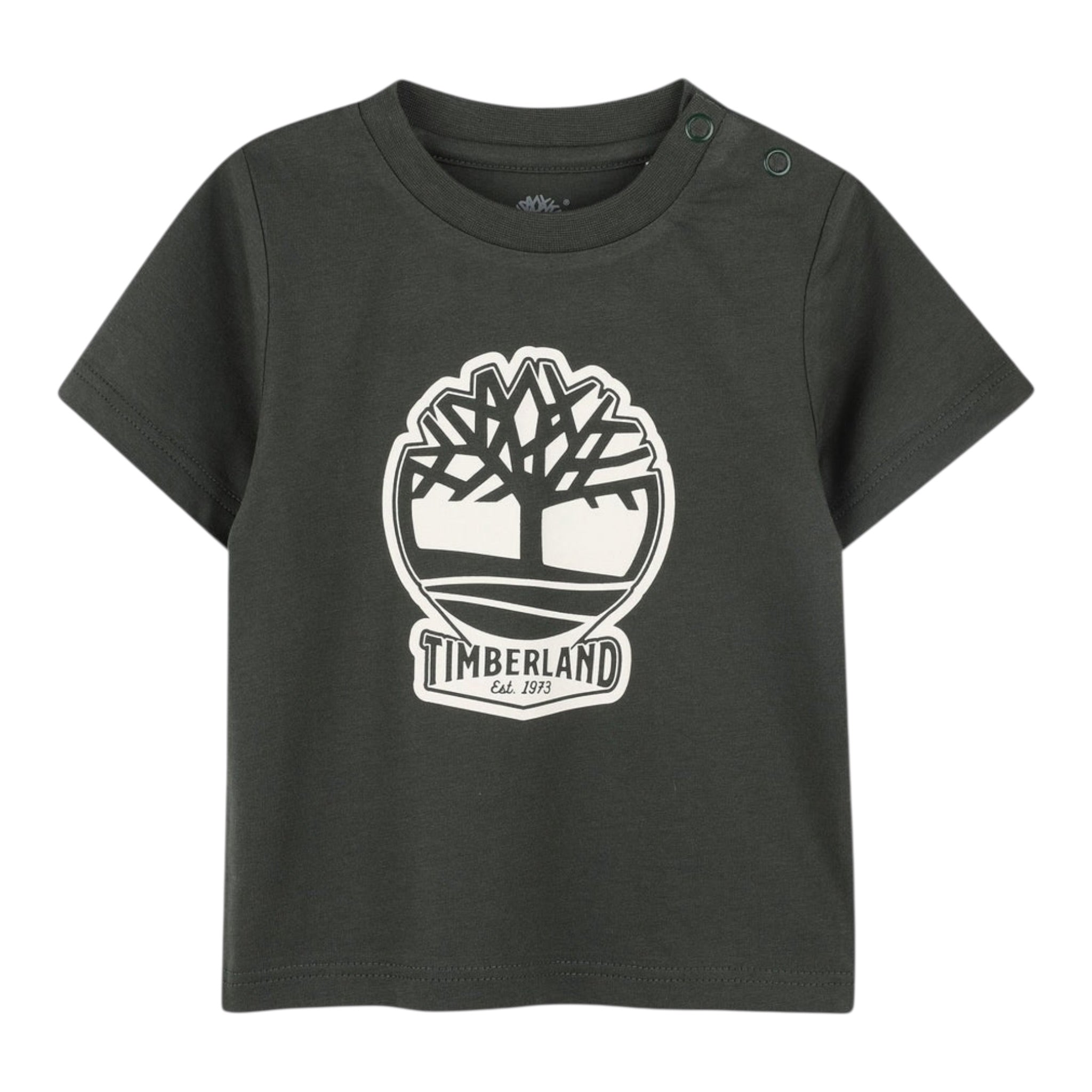 Timberland T-Shirt tinta unita con Stampa Verde per Bambino T60422 VERDE TIMBERLAND 