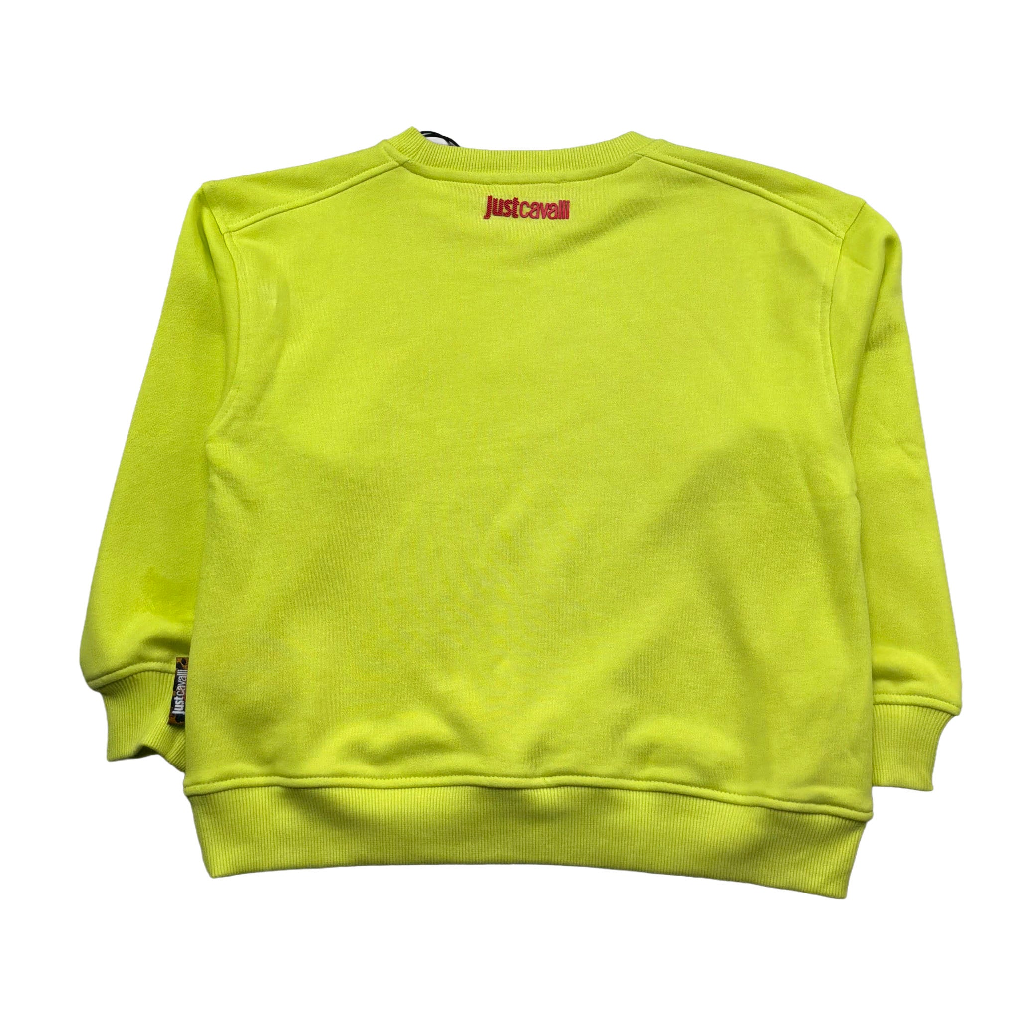 Just Cavalli Felpa Chiusa Girocollo Tinta Unita con Logo per Bambino JGP26002FE VERDE JUST CAVALLI 