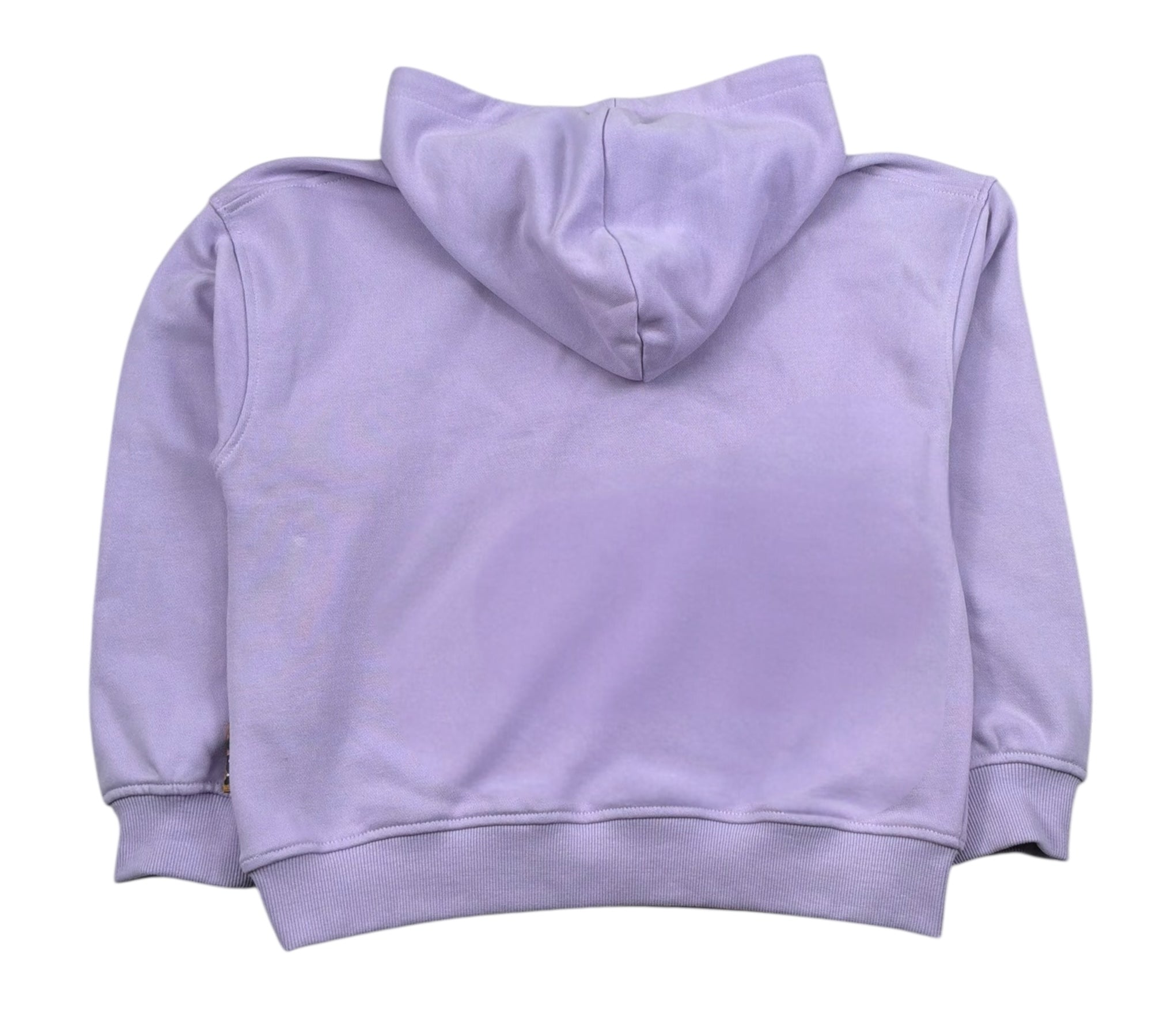Just Cavalli Felpa Chiusa Girocollo Tinta Unita con Logo per Bambina JGP26013FEA LILLA JUST CAVALLI 