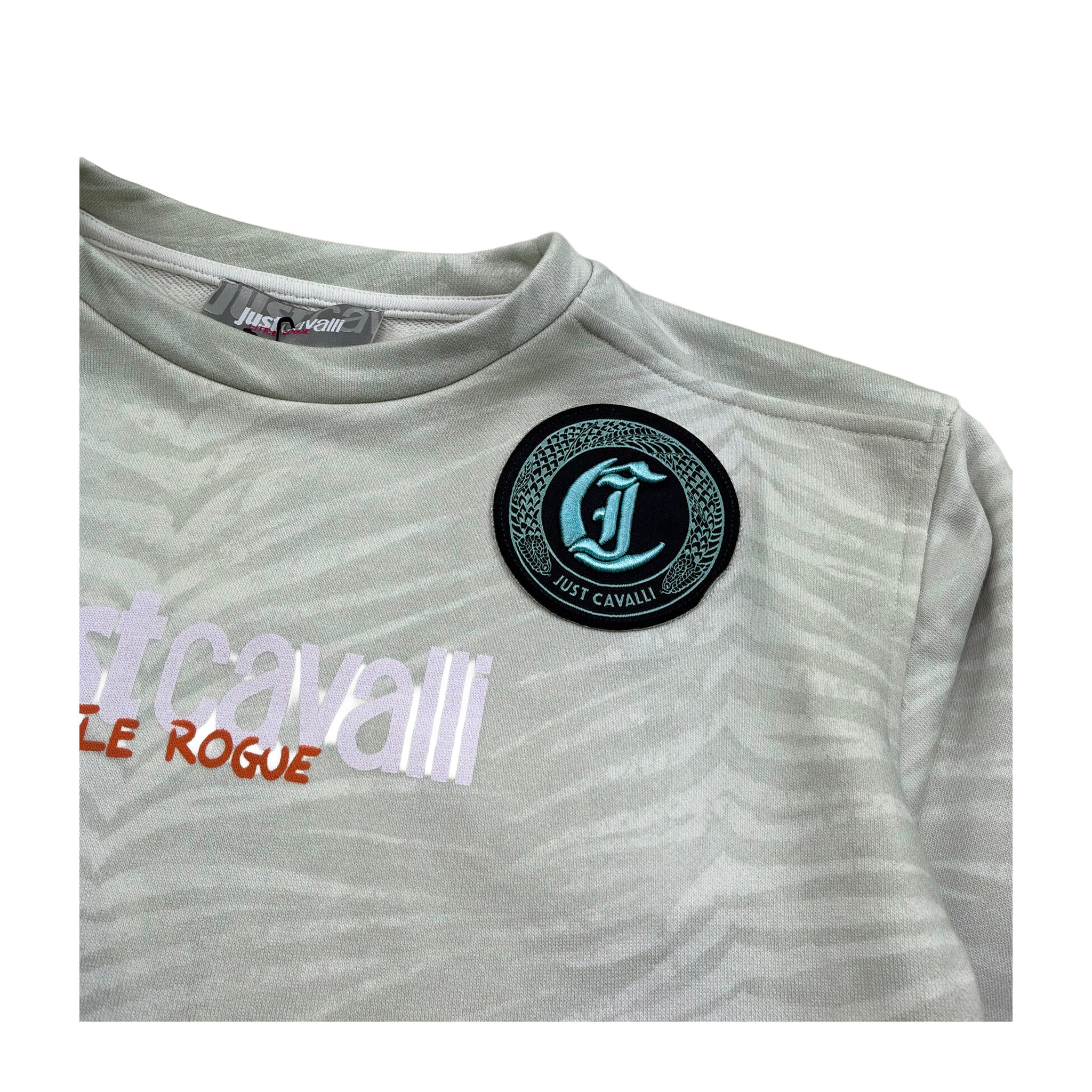 Just Cavalli Felpa Chiusa Girocollo Tinta Unita con Stampe per Bambino JGP26204FE VERDE JUST CAVALLI 