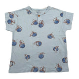 Play Up T-Shirt Girocollo Tinta Unita con Stampe per Bambino PA011AQ11054 AZZURRO PLAY UP 