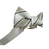 Pure Firenze Papillon Tinta Unita per Bambino PC037500 PANNA PURE FIRENZE 