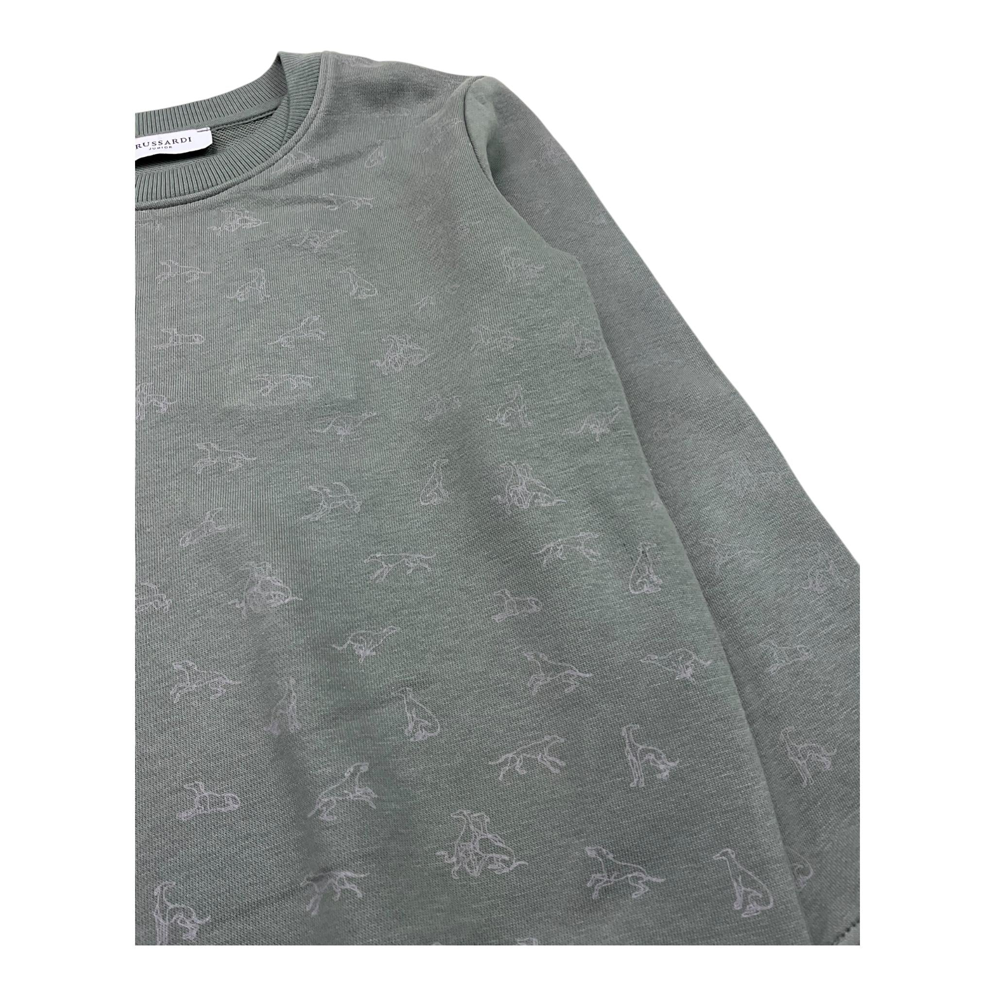 TRUSSARDI felpa chiusa girocollo tinta unita con stampa Verde per Bambino TBA25113FE VERDE TRUSSARDI 