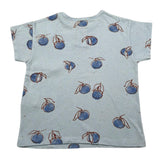 Play Up T-Shirt Girocollo Tinta Unita con Stampe per Bambino PA011AQ11054 AZZURRO PLAY UP 