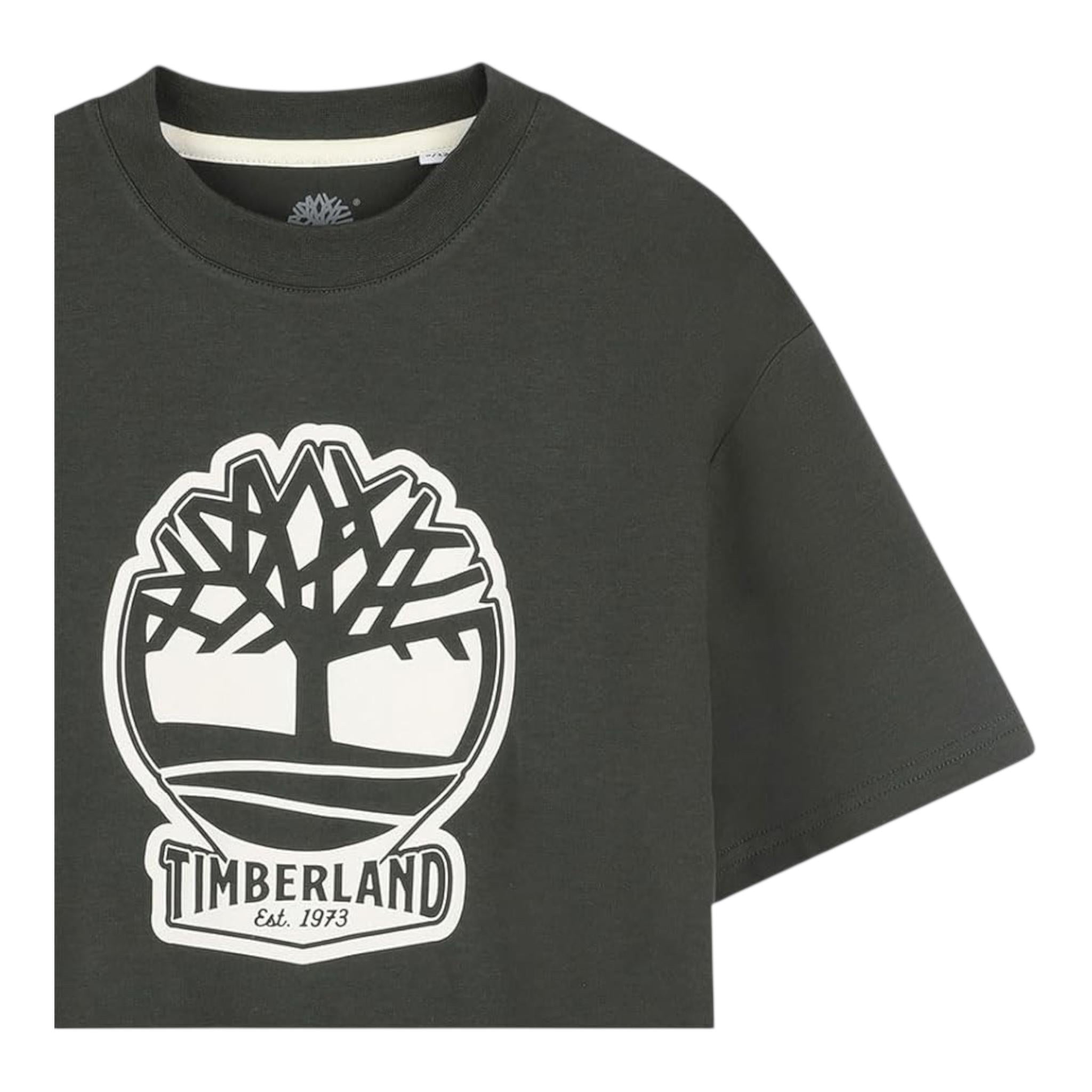 Timberland T-Shirt Girocollo Tinta Unita con Stampa per Neonato T60506T VERDE TIMBERLAND 