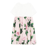 Dolce & Gabbana Abito Bicolore con Fantasia Fiori per Bambina L5JD9R BIANCO/ROSA DOLCE & GABBANA 