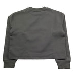 Calvin Klein Felpa Chiusa Girocollo Tinta Unita con Logo per Bambina IG0IG02482 GRIGIO CALVIN KLEIN 