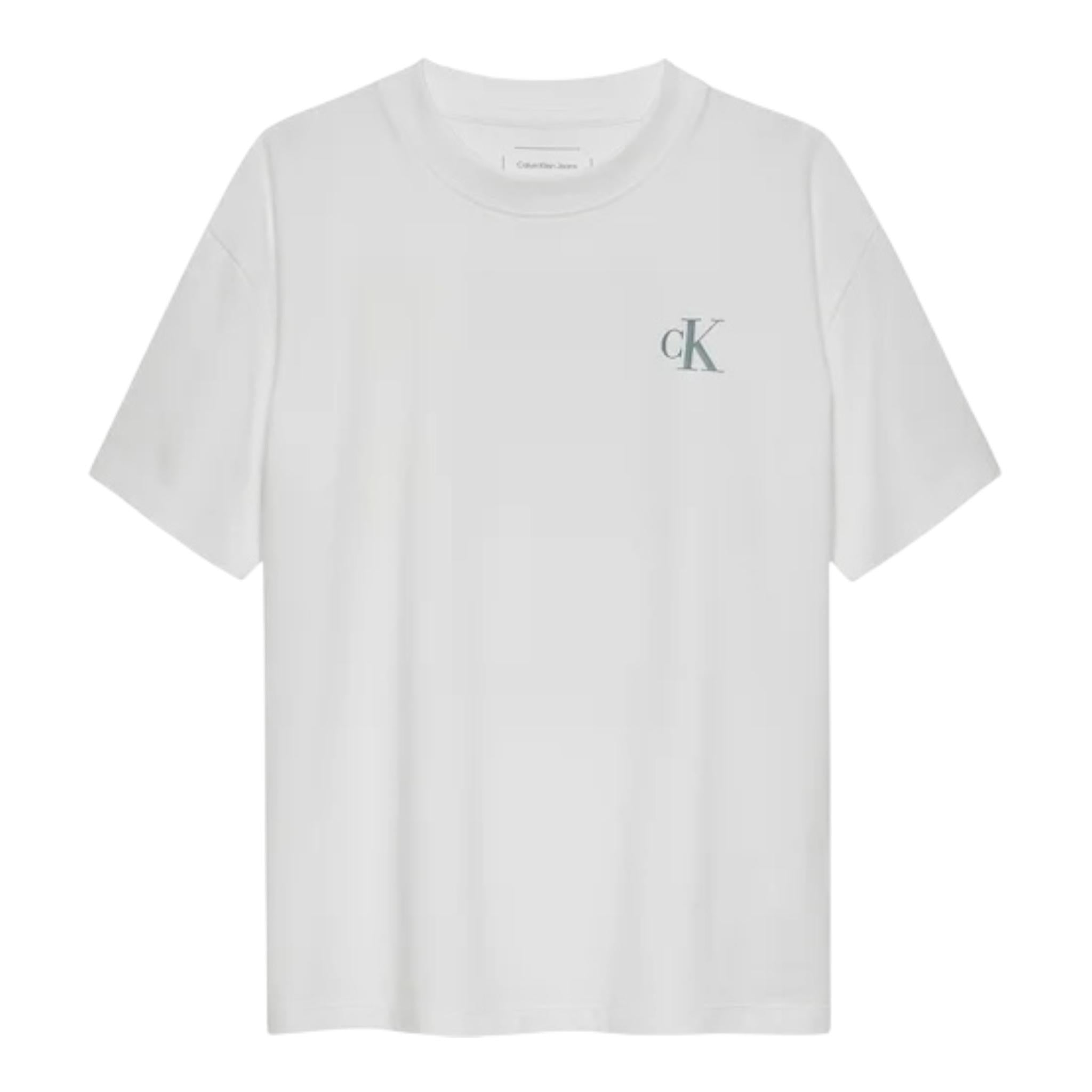 Calvin Klein T-Shirt Girocollo Tinta Unita con Stampa per Bambino IB0IB02449 BIANCO CALVIN KLEIN 