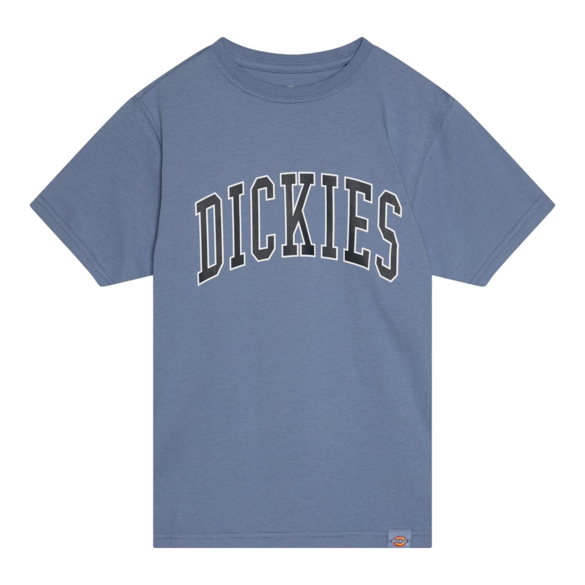 Dickies T-Shirt Girocollo tinta unita con Logo Azzurro per Bambino 520049816800100 AZZURRO DICKIES 