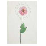 Stella Mccartney T-Shirt Girocollo Tinta Unita con Stampa per Bambina TW8C41 PANNA STELLA McCARTNEY 